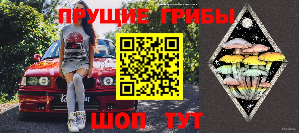 Галлюциногенные грибы Psilocybine cubensis  Вход с VPN  Озёрск 
